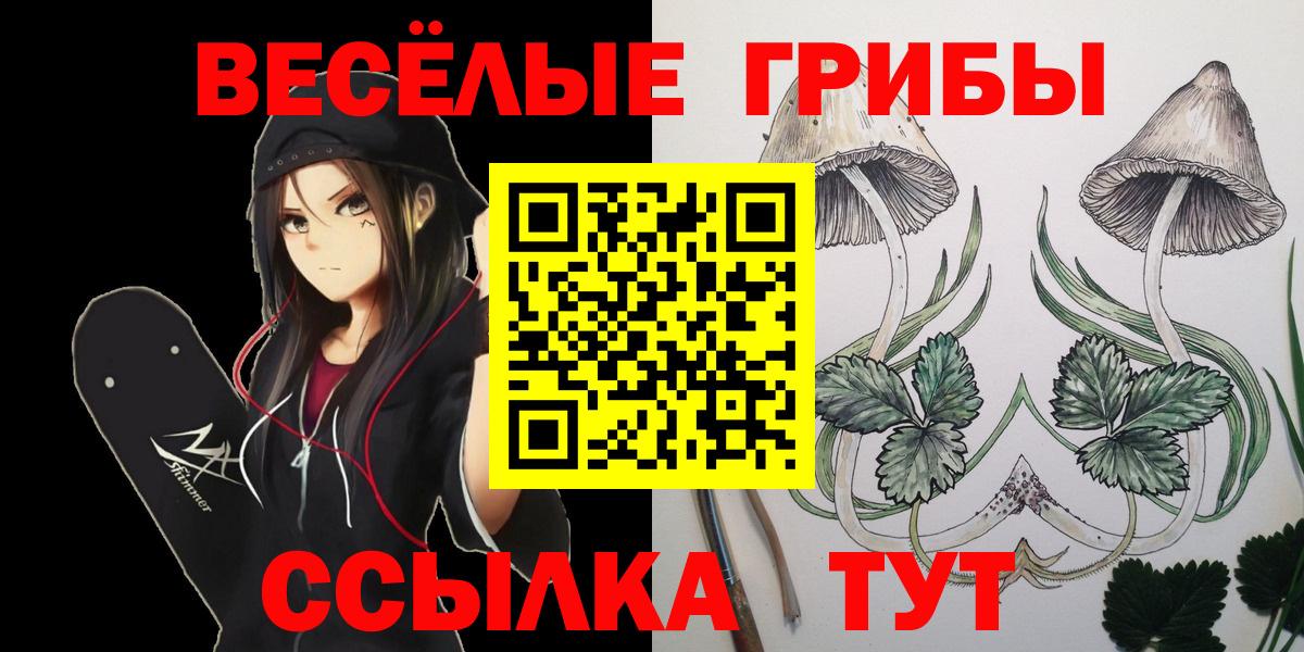 Домодедово  Псилоцибиновые грибы прущие грибы  наркотики  Вход с VPN 